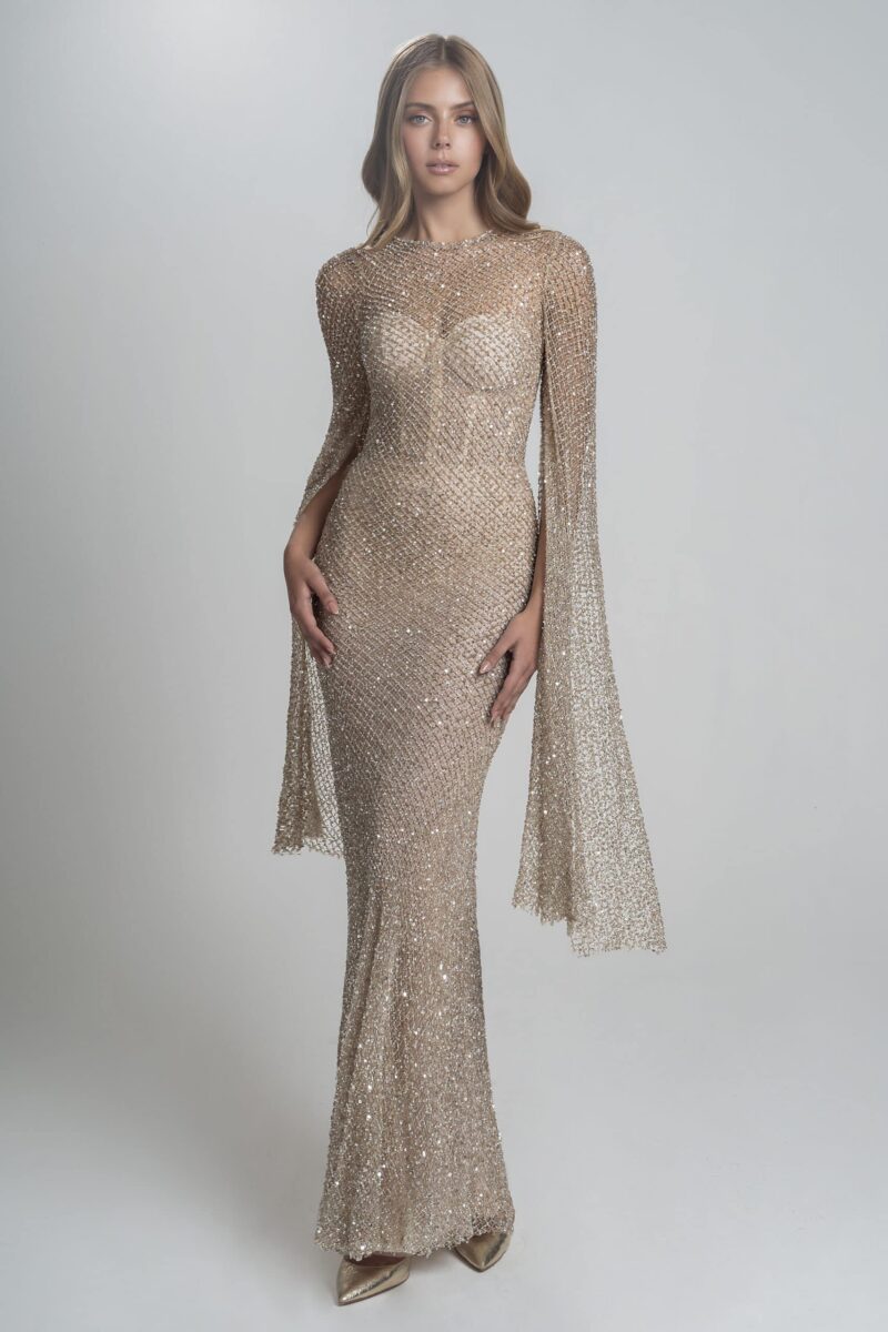 Champagne Sleeve Dress
