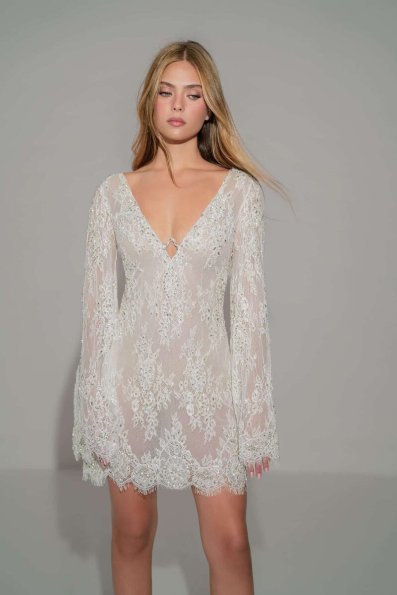 Floral Lace Long - Sleeved Mini Dress