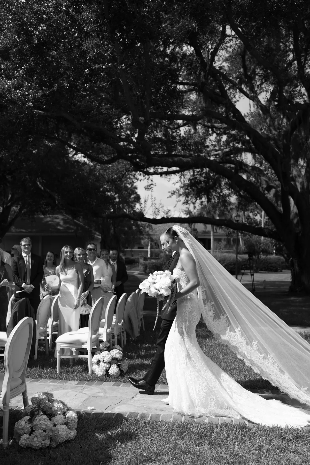 The ceremony beneath the live oaks, Madison’s cathedral veil trailing down the aisle